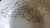 Kelewat Gabut, 6 Kelakuan Orang Saat Bosan Ini Absurd Banget