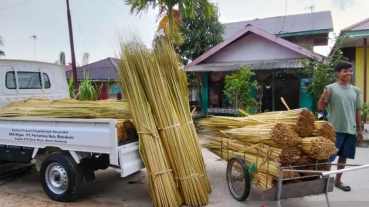 Ekspor Lidi Nipah Kaltim Tembus Pasar India, Petani Hutan Raup Ratusan Juta