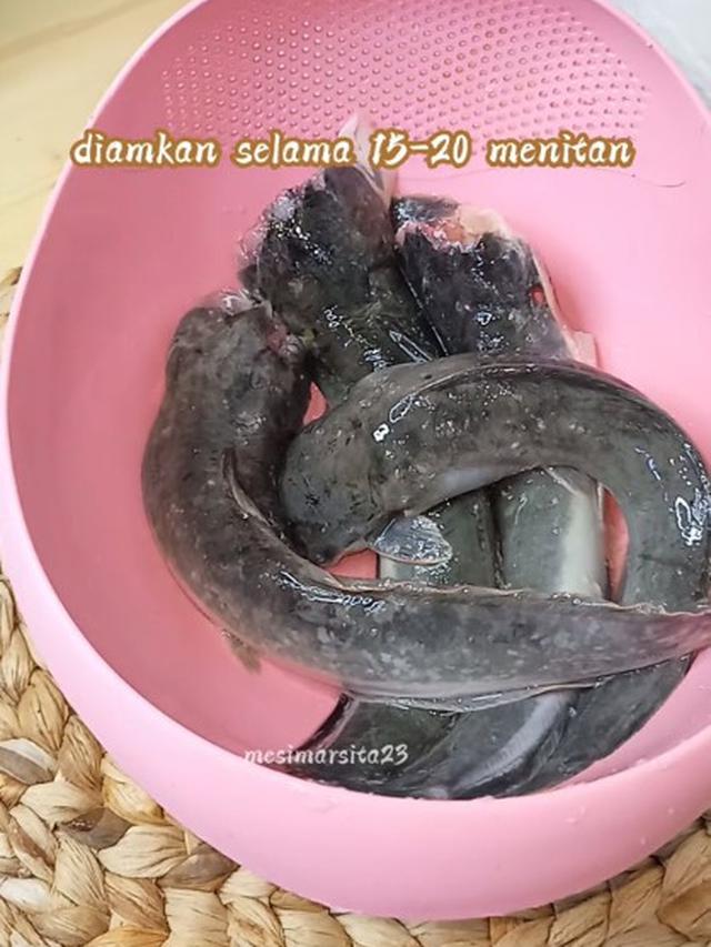 Cuma Pakai 2 Bahan, Begini Cara Hilangkan Lendir pada Ikan Lele Tanpa Perasan Jeruk Nipis