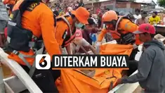 diterkam buaya