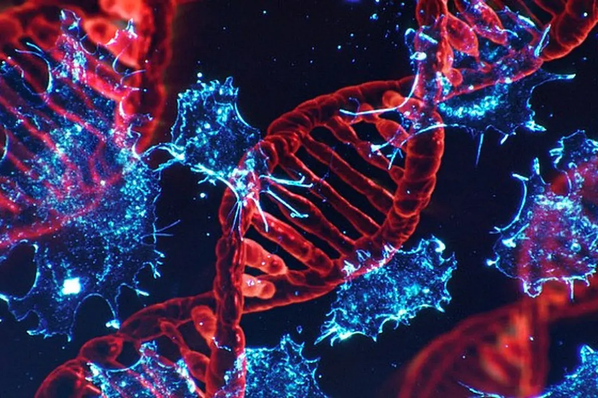 DNA