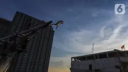 Seorang anak melompat dari atas kapal yang tengah bersandar di Pelabuhan Sunda Kelapa, Jakarta, Senin (6/7/2020). Aksi lompatan yang dilakukan beramai-ramai dapat membahayakan keselamatan anak karena tanpa pengawasan pelindung tubuh. (Liputan6.com/Fery Pradolo)