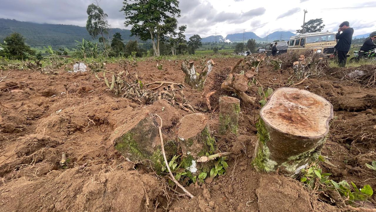 Perusakan Kebun Teh