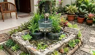 7 Inspirasi Kolam Mini Depan Rumah dari Galon Bekas Lengkap dengan Air Mancur Kecil yang Menenangkan