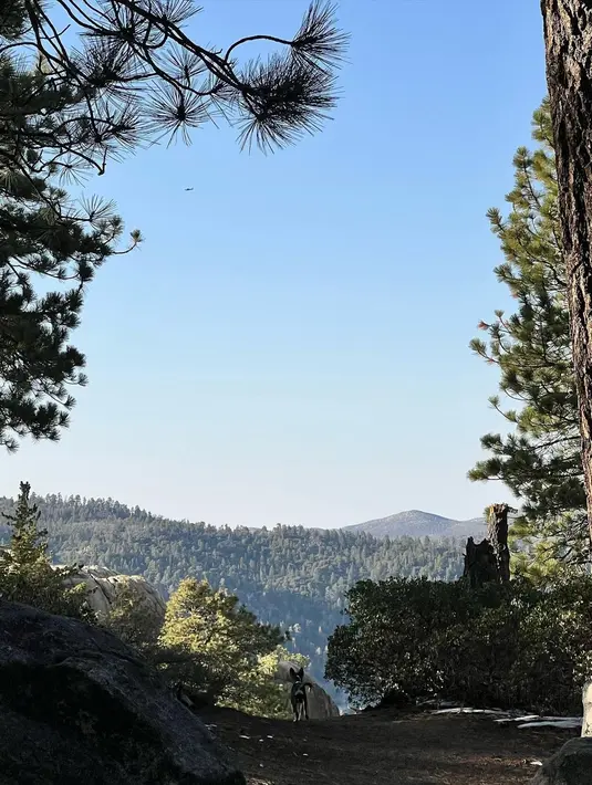 <p>Agnez Mo (Instagram/agnezmo)</p>