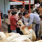 Seorang pria memeriksa domba yang akan digunakan sebagai hewan kurban jelang Hari Raya Idul Adha di pasar ternak di Sanaa, Yaman, Rabu (14/7/2021). Saat Idul Adha, umat muslim mengorbankan berbagai hewan seperti sapi, unta, kambing, dan domba. (MOHAMMED HUWAIS/AFP)
