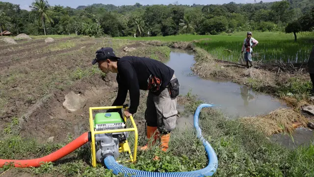 Perhatikan Petani Kecil, Presiden Jokowi Ajak Pemimpin Dunia Perkuat Pasokan Air