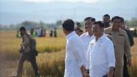 Mentan SYL mendampingi Presiden Jokowi saat meninjau panen raya di Maros. (Foto: Istimewa)