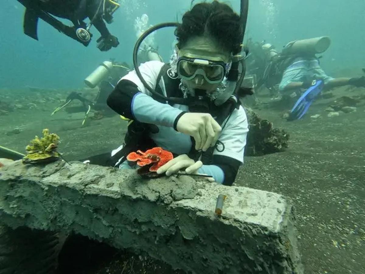 Manusia Ternyata Baru Lihat 0,001 Persen Dasar Laut Bumi