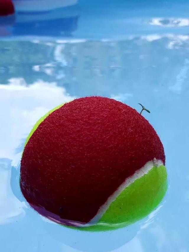 Bikin Heran, Ini 6 Potret Tanaman Tumbuh di Tempat Tak Lazim