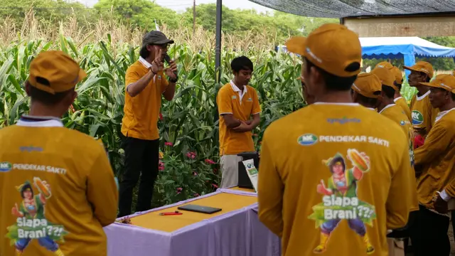 Syngenta Indonesia secara khusus membina lebih dari 227 petani di sentra jagung nasional yaitu di daerah Tuban, Bojonegoro, dan Lamongan Jawa Timur. (Dok Syngenta)