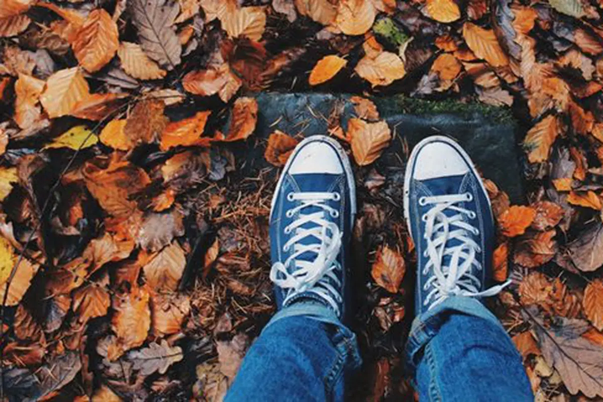 Copyright: pexels.com/pixabay