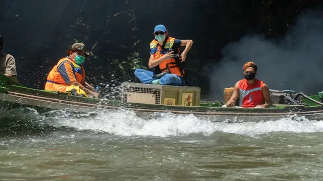 Pelepasliaran lima orangutan sitaan dari pemeliharaan illegal. (Foto: IAR Indonesia)