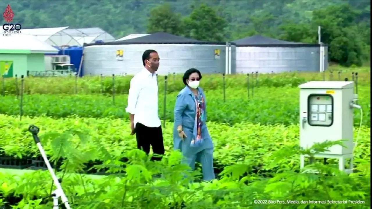 Presiden Joko Widodo (Jokowi) dan Megawati Soekarnoputri bertemu di Persemaian Modern Rumpin, Bogor