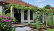 9 Ide Menanam Gambas Rambat di Teras Rumah, Bikin Teduh Sekaligus Panen Sayur