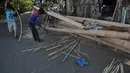 Salah satu penjual pohon pinang di kawasan Manggarai, Jakarta, Kamis (7/8/14). (Liputan6.com/Johan Tallo)