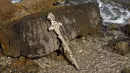 Sebuah pedang berusia 900 tahun yang diyakini milik seorang tentara salib di Caesarea, Israel, setelah ditemukan oleh penyelam lokal, pada 19 Oktober 2021. Pedang yang memiliki gagang unik tersebut sudah diliputi organisme laut. (JACK GUEZ / AFP)