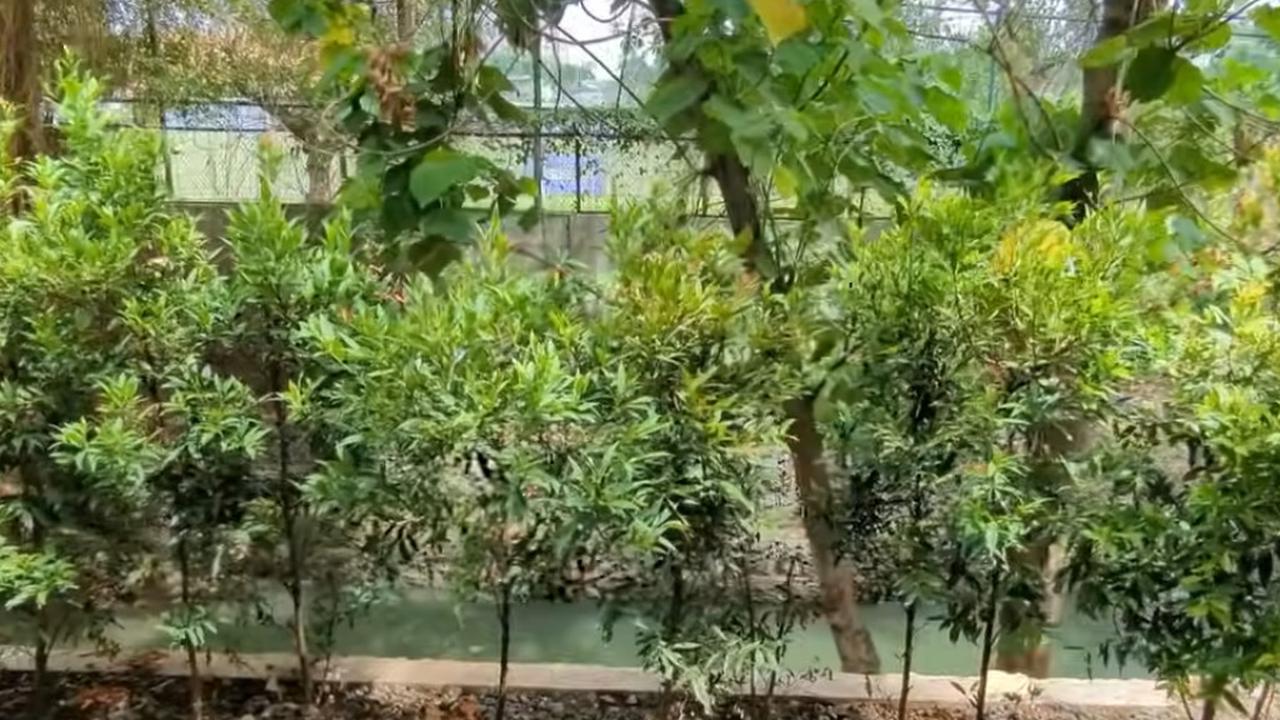Uniknya, rumah Tompi ini menghadap ke sebuah kali. Sehingga dari rumahnya, Tompi bisa melihat kali.<br>