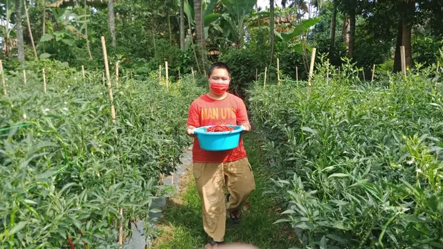 Imansyah Aditya Fitri