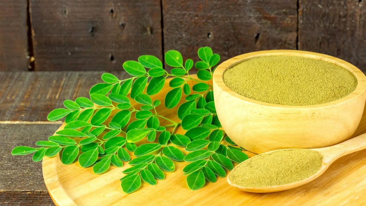 Manfaat Daun Kelor untuk Asam Urat, Solusi Herbal yang Terbukti Efektif