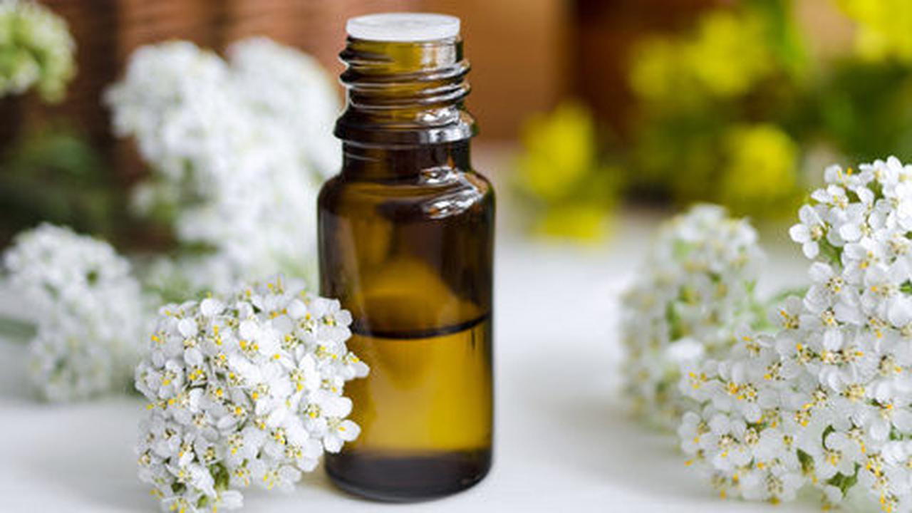 Ini 3 Khasiat Utama Minyak Yarrow (Achillea Millefolium) untuk Kecantikan Kulit