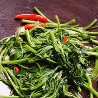 ilustrasi tumis kangkung/copyright By Medtech THAI STUDIO LAB 249 (Shutterstock)