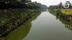 Kondisi Kanal Banjir Timur (KBT) di kawasan Duren Sawit, Jakarta, Kamis (24/8/2023). Musim kemarau yang melanda wilayah DKI Jakarta membuat debit air di KBT surut. (Liputan6.com/Herman Zakharia)