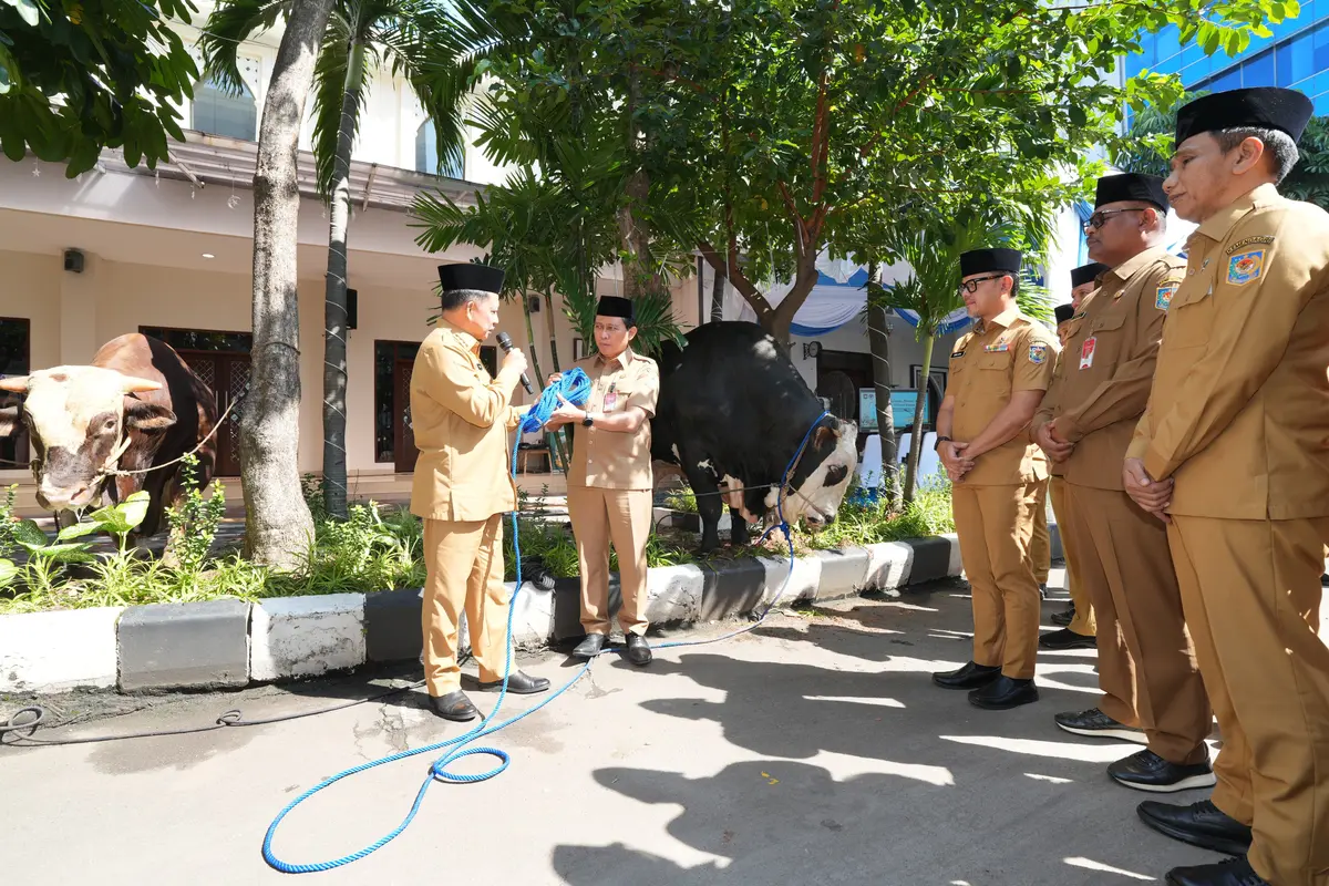 Mendagri Muhammad Tito Karnavian menyalurkan secara simbolis ratusan hewan kurban yang dihimpun dari lingkungan Kementerian Dalam Negeri (Kemendagri) serta Badan Nasional Pengelola Perbatasan (BNPP). (Istimewa)