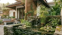 6 Ide Kolam Mini untuk Ikan Zebra Danio yang Mudah Dirawat, Cantik dan Cocok untuk Halaman Rumah