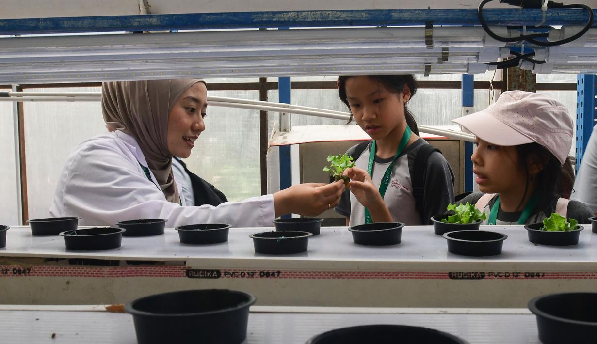 Masyarakat umum, termasuk pelajar, bisa datang untuk mempelajari teknologi pertanian perkotaan (urban farming) yang efisien lahan. Tampak dalam foto, pelajar dari salah satu sekolah dasar menyimak penjelasan terkait pola dan sistem pertanian hidroponik di Ladang Farm, Lebak Bulus, Jakarta, Kamis (30/4/2026). (merdeka.com/Arie Basuki)