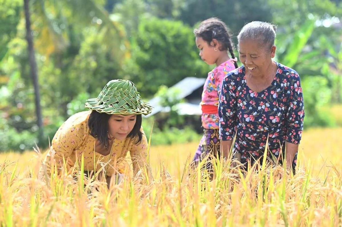 Penampilan Cantik Veronica Tan Turun ke Sawah Petik Padi, Bicara Soal Ibu Rumah Tangga jadi Sorotan