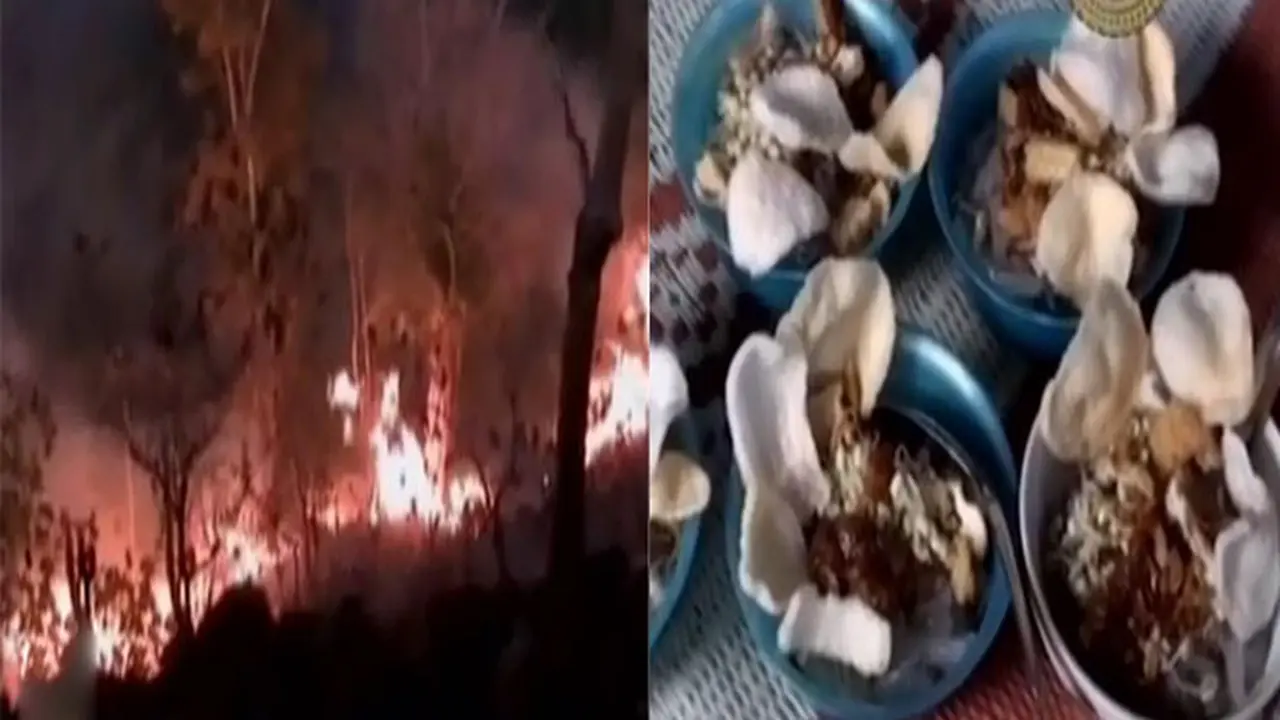 Kebakaran Lahan di Polewali hingga Dawet Pedas Khas Kulon Progo