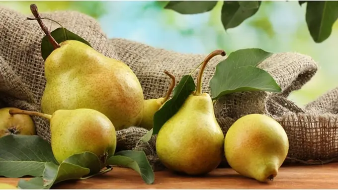 Foto Copyright thinkstockphotos.com