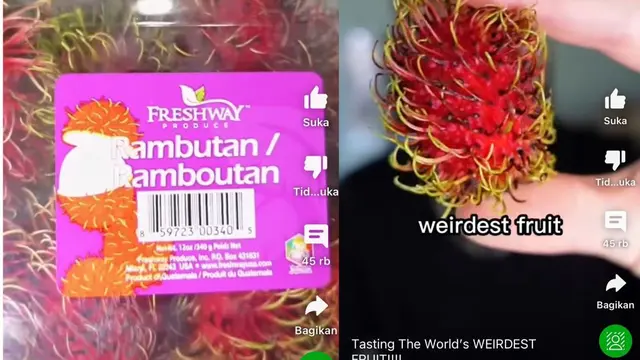 viral video bule kupas rambutan di YouTube