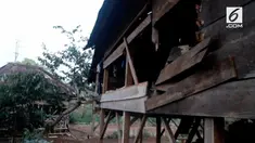 Empat ekor gajah mengamuk di Dusun Talang Bambu, Sumatera Selatan. Akibatnya satu rumah hancur dan tiga lainnya rusak ringan.