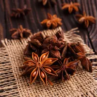 ilustrasi bunga lawang/copyright Shutterstock