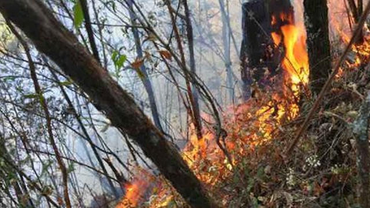 Kebakaran hutan Gunung Lawu meluas, asap menyebar hingga Solo