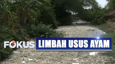 Selain air sungai tak bisa mengalir, sumber mata air di sekitar sungai pun tercemar tak layak konsumsi. Tanaman padi milik petani juga tak bisa tumbuh normal karena air limbah ini.