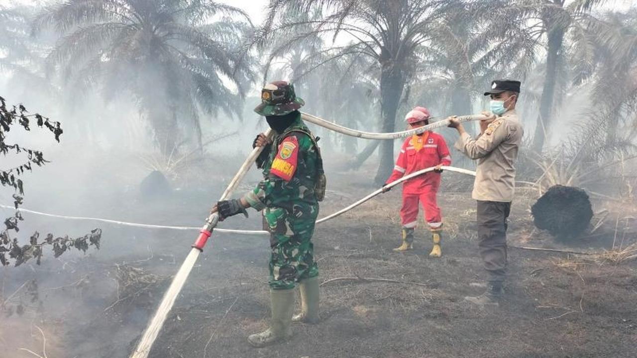 Fakta Mengejutkan: 448,73 Hektare Lahan Terbakar Akibat Karhutla Jambi Sepanjang 2025, Bagaimana Penanganannya?