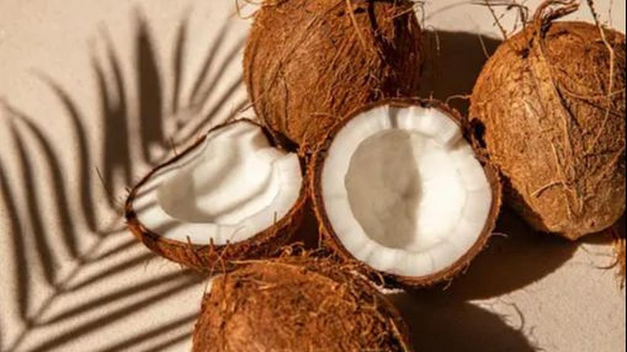 <b>Kelapa</b>