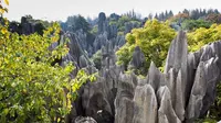 Shilin Stone Forest, akan berikan pengalaman berbeda lewat ratusan 'pohon batu'. (Foto: Amusingplanet.com)