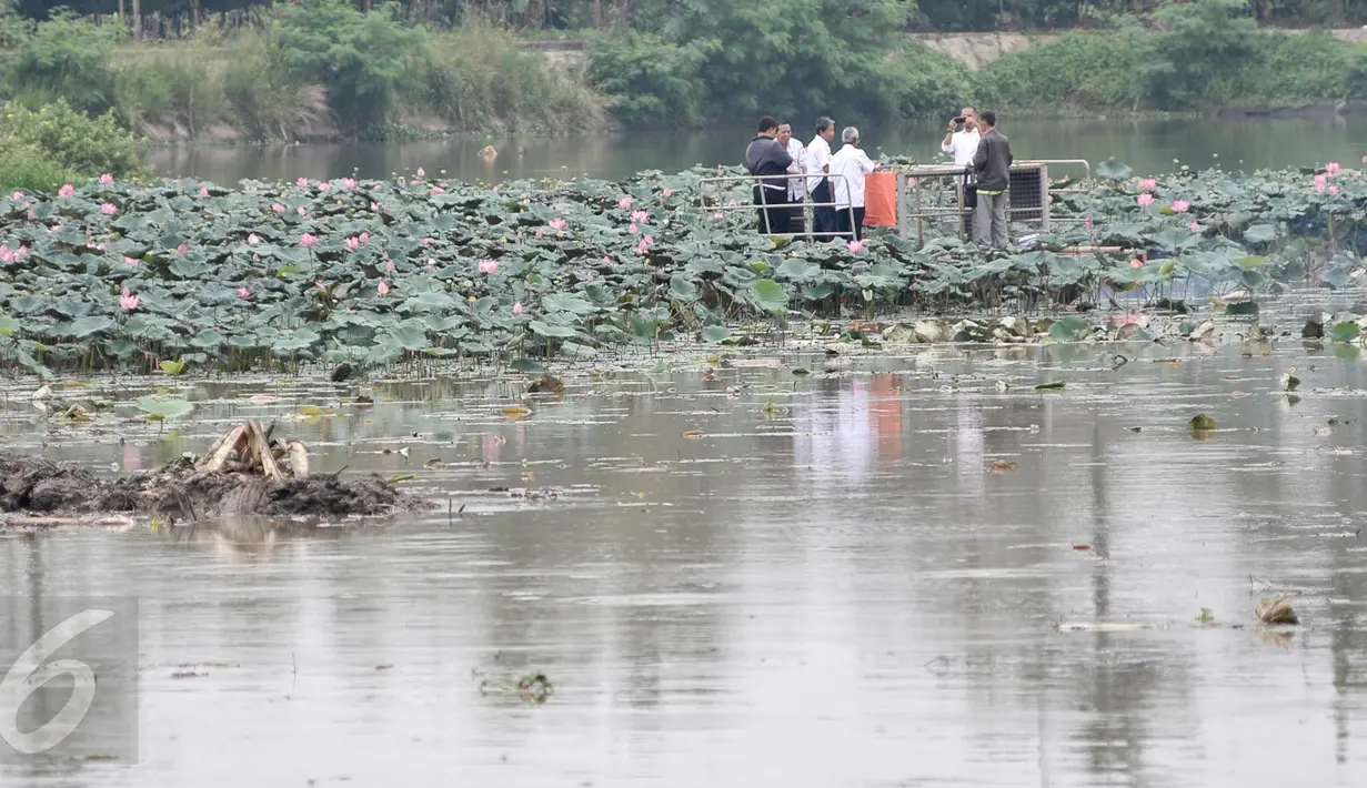 Petugas dari Pemprov DKI Jakarta mengecek lokasi pengerukan di Setu Mangga Bolong, Jakarta Selatan, Rabu (30/11). Pengerukan lumpur dan teratai dilakukan guna mencegah pendangkalan Setu Mangga Bolong. (Liputan6.com/Yoppy Renato)