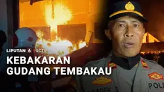 Gudang Tembakau di Bondowoso Terbakar, Mobil Damkar hingga Water Canon Dikerahkan