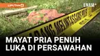 MAYAT PRIA PENUH LUKA DITEMUKAN DI TEPI PERSAWAHAN