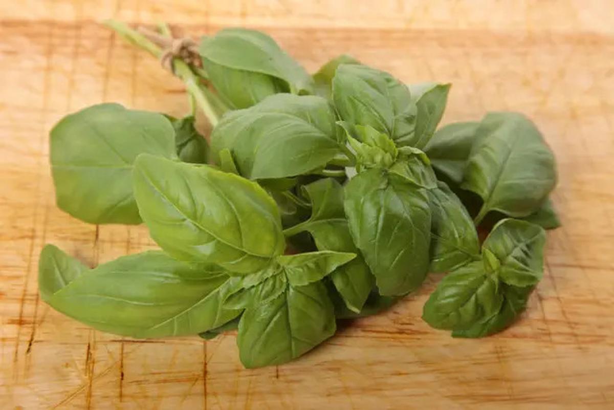 Bumbu Beku vs Bumbu Kering, Mana yang Lebih Tahan Lama?