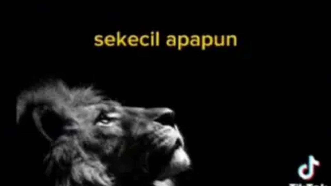 Ia juga menekankan kepada para prajuritnya, jangan sekali-kali terbesit dibenak mereka untuk melakukan pelanggaran. Mau sekecil apapun itu.<br>