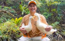 Akhirnya Irfan Hakim Berhasil Wujudkan Impian Lama Punya Akuarium Gantung Raksasa, Isinya Ada Ikan Hiu