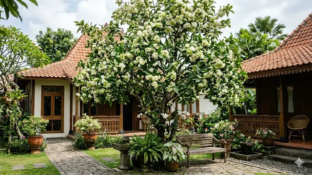 Pohon Buah Berbunga Indah