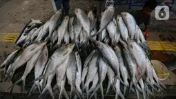 Ikan bandeng dijual dengan harga yang beragam, mulai dari Rp 50 ribu hingga Rp 90 ribu per kilogram. (Liputan6.com/Angga Yuniar)