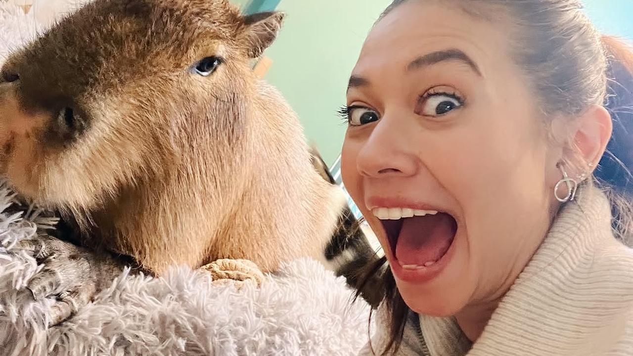 7 Potret Keseruan Yuki Kato Bareng Kapibara, Netizen: Jadi Keinget Jennie BLACKPINK